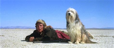A Boy And His Dog. World War IV has ravaged Earth, and its survivors must battle for food, shelter and companionship in a post-atomic wasteland. IMDb 6.4 1 h 30 min 1975. X-Ray R.